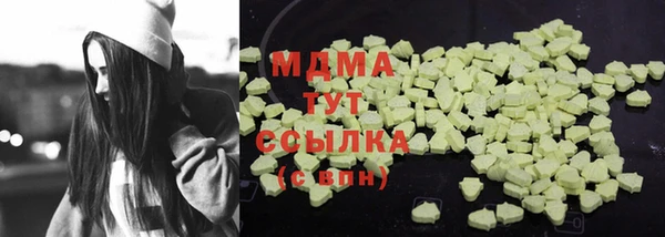 соль ск Ельня