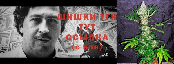 соль ск Ельня