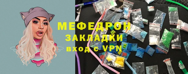 соль ск Ельня
