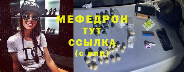 соль ск Ельня