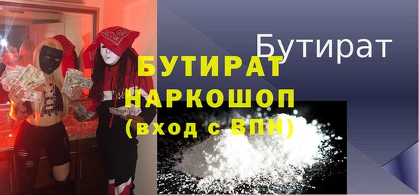 соль ск Ельня